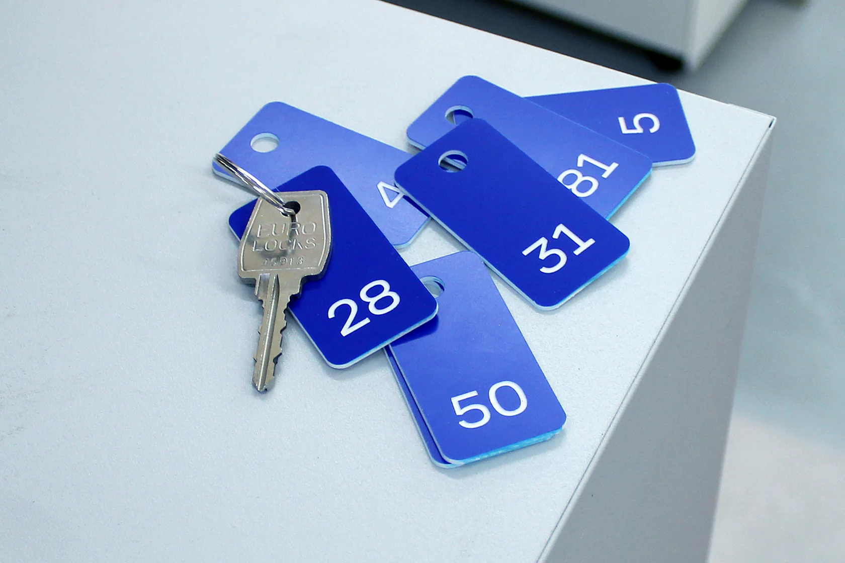 Pack de 5 làmines de ABS per a gravat de 1,5 mm (tria mida i color) - Imatge 4